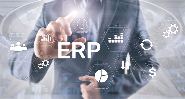 ERP Customs Consulting Blog1