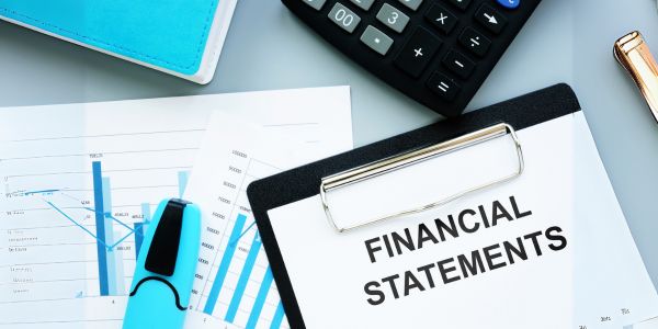 Estados financieros Balance General Resultados Flujo efectivo capital variable