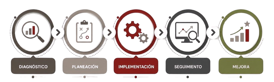 Como_trabajamos_Customs_Consulting_Global-removebg-preview