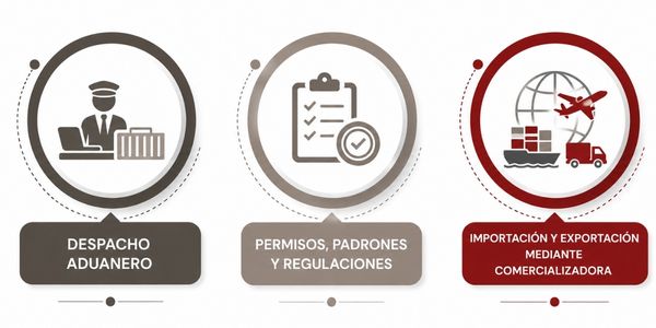 Necesidades específicas de comercio exterior